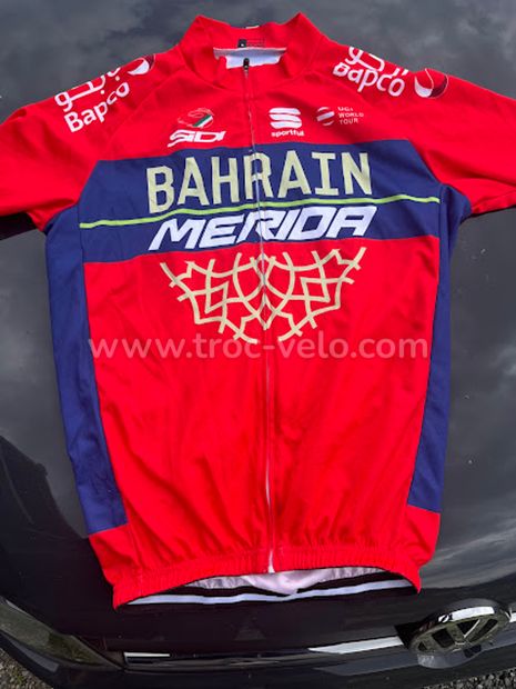 Maillot officiel team bahrain merida mac laren size L by sportful - 2