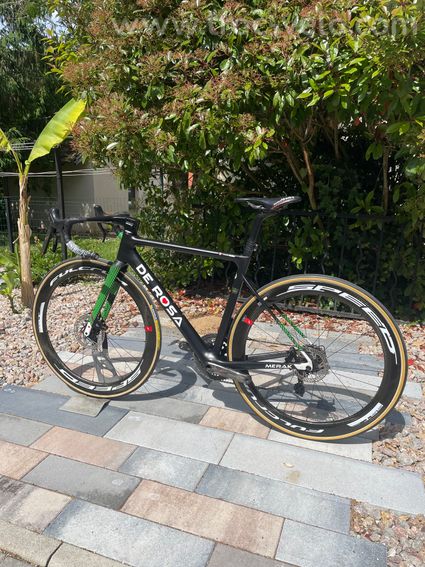 De rosa Merak  - 3