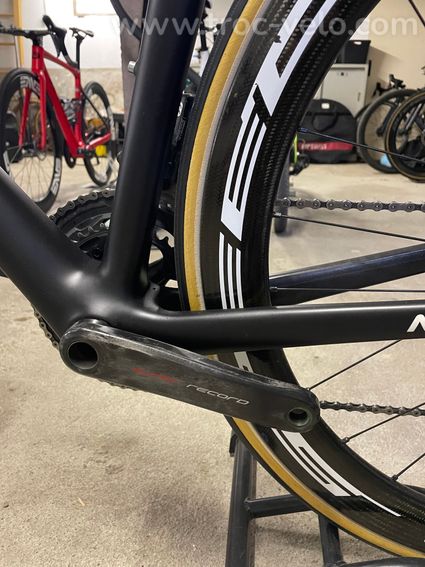 De rosa Merak  - 4
