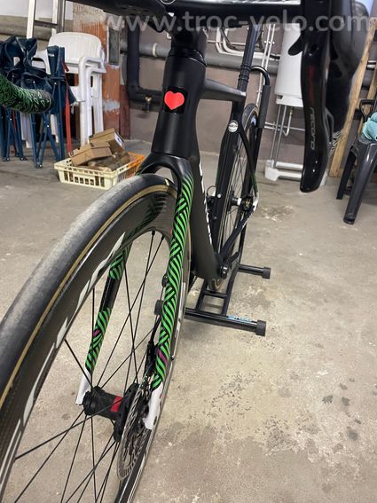 De rosa Merak  - 5