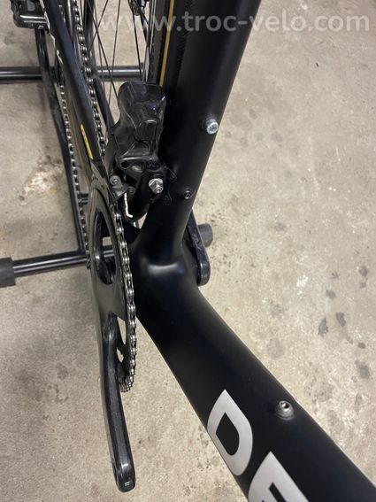De rosa Merak  - 6