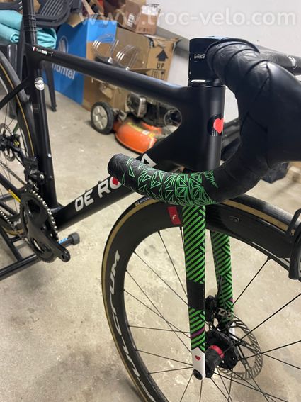 De rosa Merak  - 7