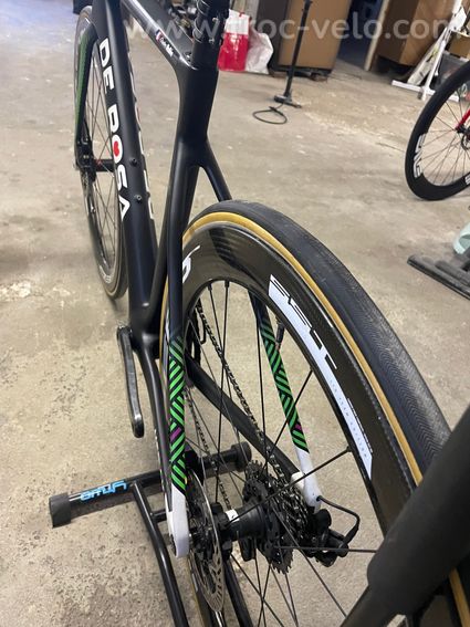 De rosa Merak  - 8