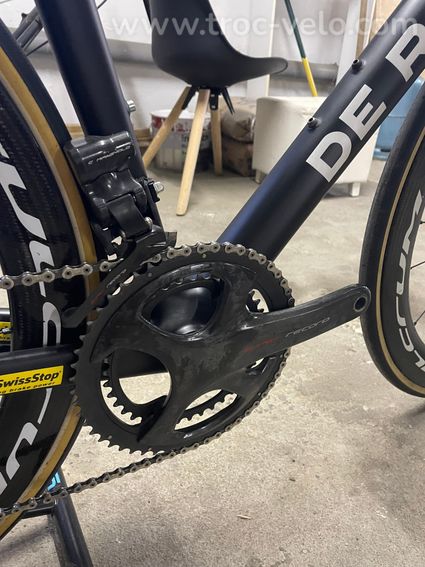 De rosa Merak  - 9