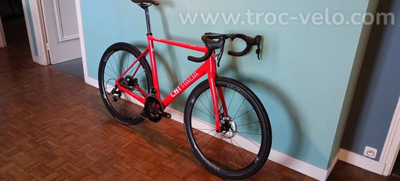 Vélo course CBT Italia necer 99 progress 2026 - 2