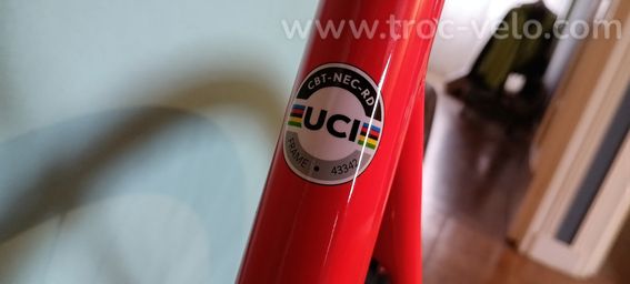 Vélo course CBT Italia necer 99 progress 2026 - 12