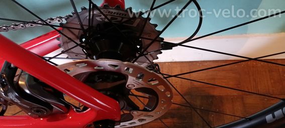 Vélo course CBT Italia necer 99 progress 2026 - 15