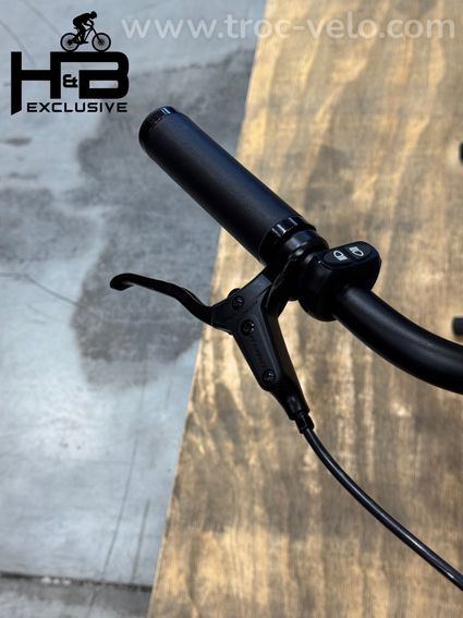 Tenways CGO800S Vélo électrique Single-Speed 2023 - 6