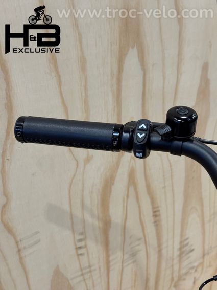 Tenways CGO800S Vélo électrique Single-Speed 2023 - 7