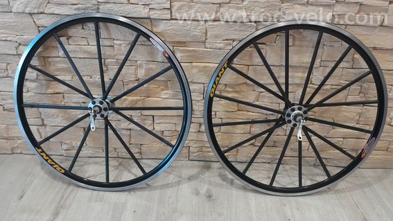 Roues Giant Mike Burrows - 5