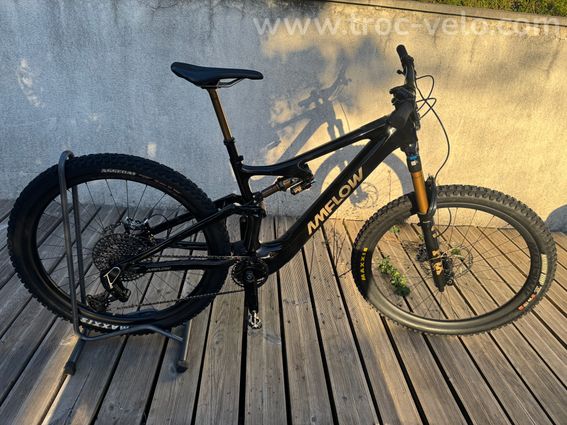 AMFOLW PL CARBON PRO 2025 - 3