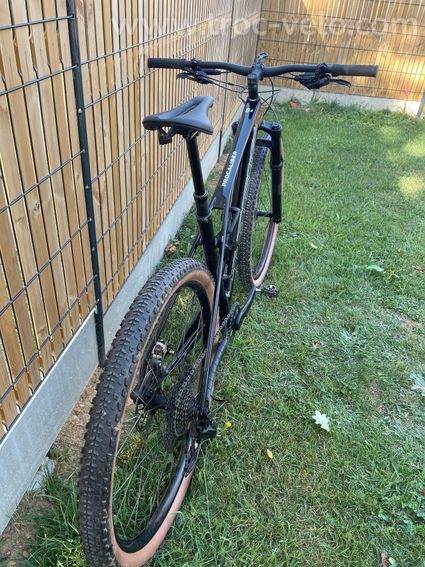 Trek Procaliber 9.6 Gen.3 Taille L - 2
