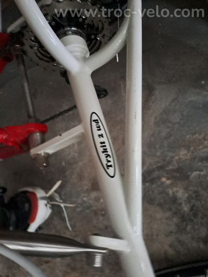 Vente tricycle Bianchi aux ́normes UCI - 4