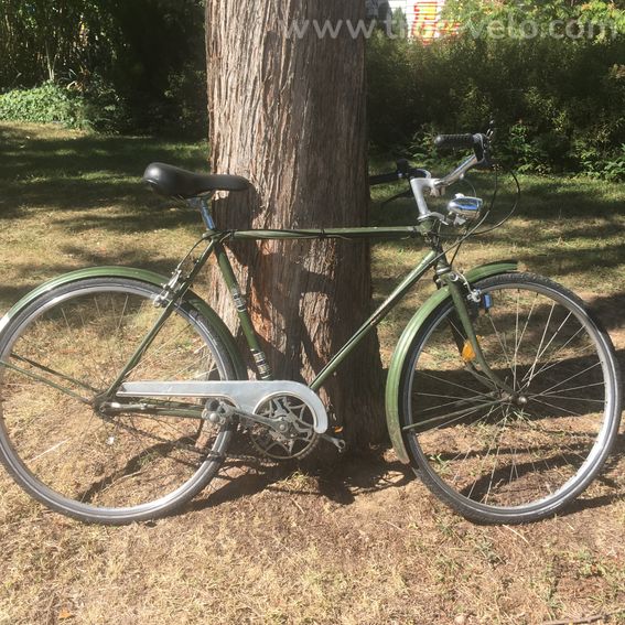 Raleigh Riviera - 12