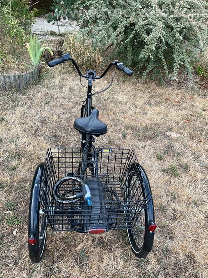tricycle assistance électrique - 3