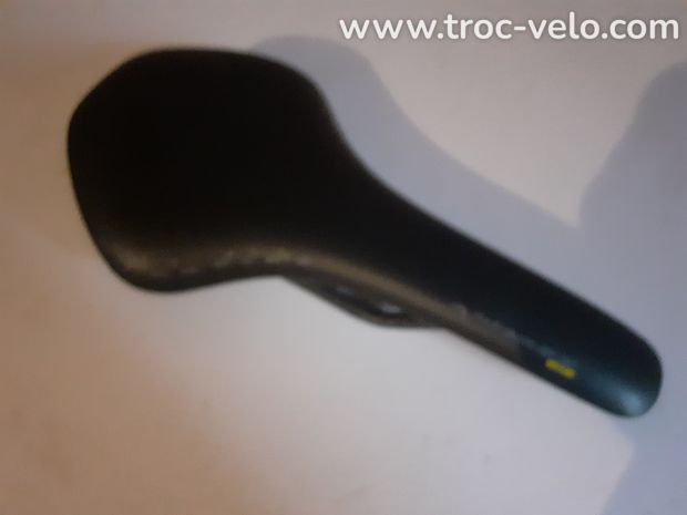 Selle fizik  - 1