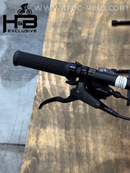 Giant Talon E+ EX 29 pouces VTT électrique Shimano Alivio 2022 - 5