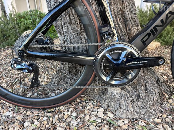 Pinallo Dogma F  54 - 2