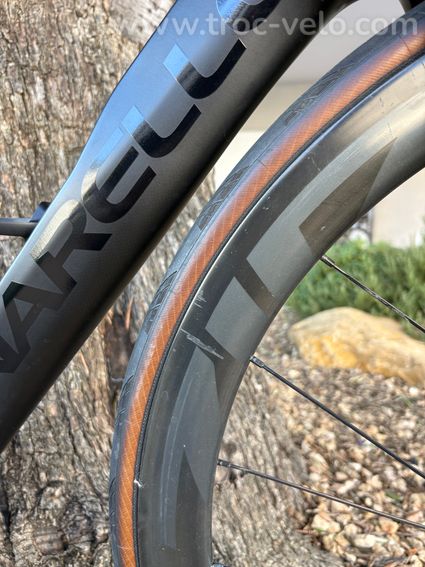 Pinallo Dogma F  54 - 3
