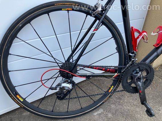 FOCUS IZALCO Max - 2