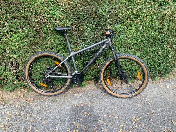 VTT SCOTT MAO - 4