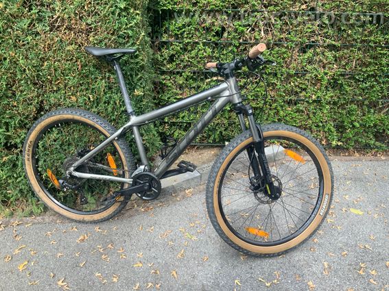 VTT SCOTT MAO - 6