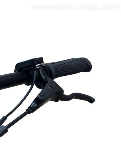 Tenways CGO600 Pro Vélo électrique Single-Speed 2024  - 5