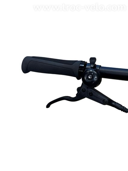 Tenways CGO600 Pro Vélo électrique Single-Speed 2024  - 6