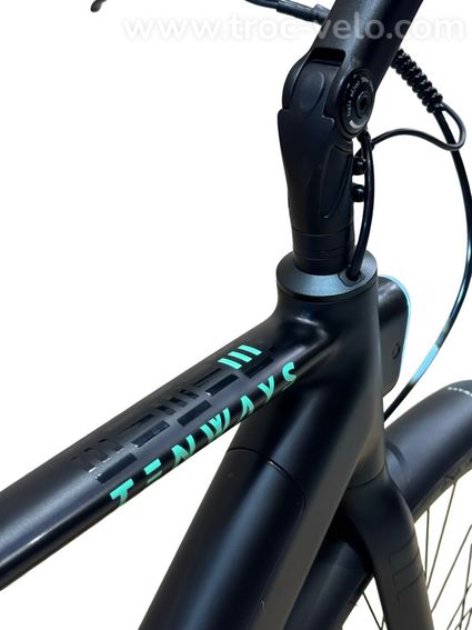 Tenways CGO600 Pro Vélo électrique Single-Speed 2024  - 9