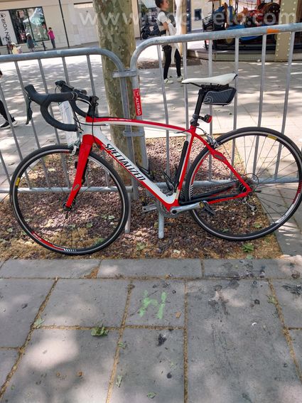 Specialized homme roubaix  - 2
