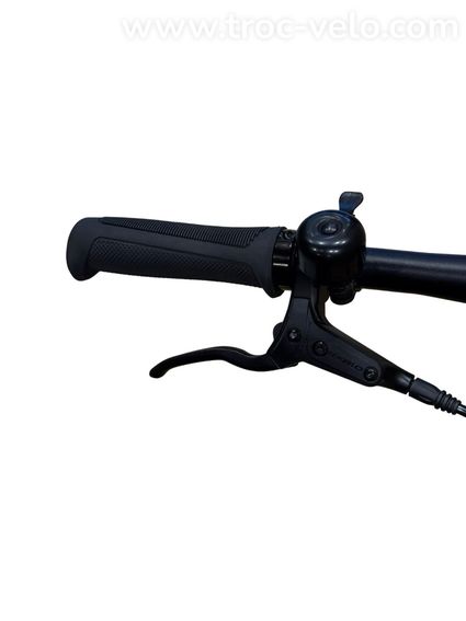 Tenways CGO600 Pro Vélo électrique Single-Speed 2023  - 5