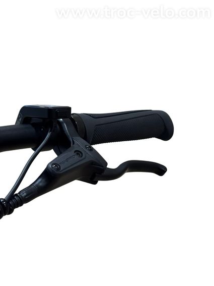 Tenways CGO600 Pro Vélo électrique Single-Speed 2023  - 6