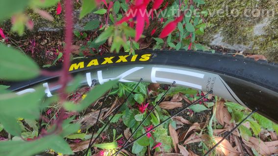 VTT 29" semi-rigide 10 kg - Montage perso - 4