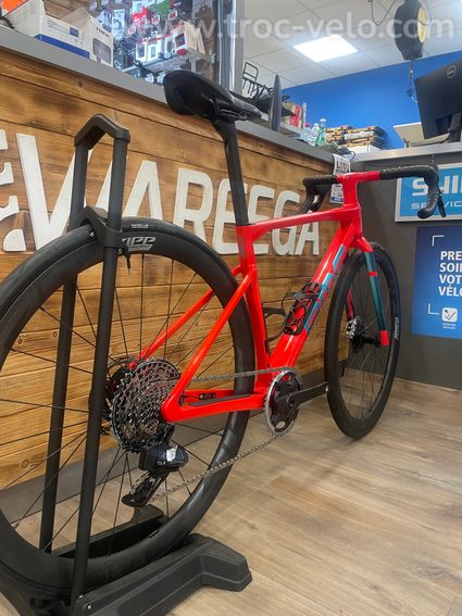 BMC Kaius 01 LTD Peacock Spider - 4