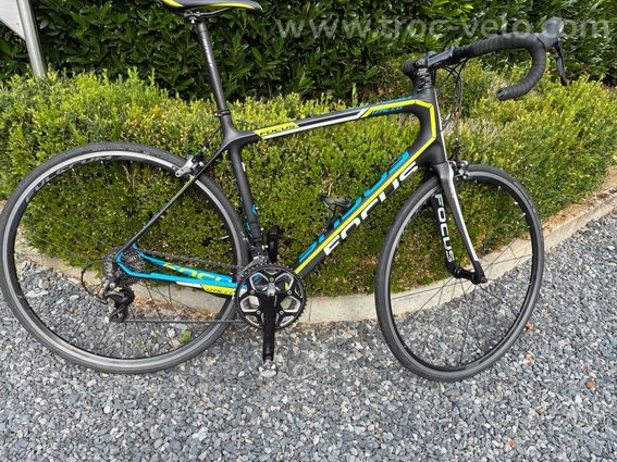 Focus izalco  - 3