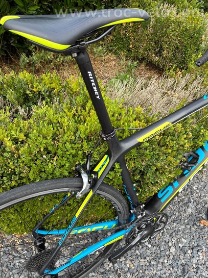 Focus izalco  - 4
