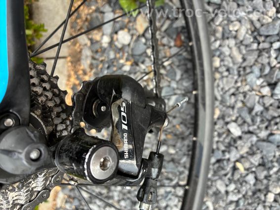 Focus izalco  - 6