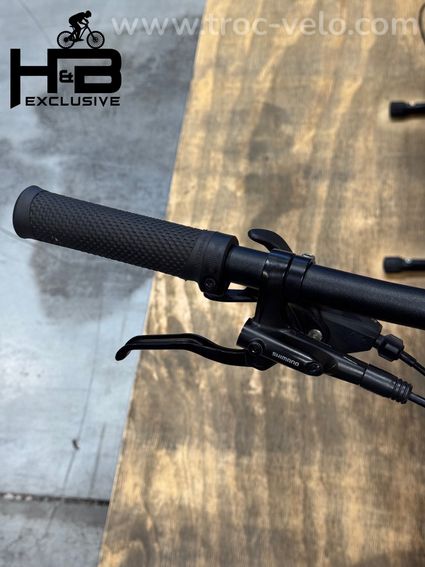 Cube Reaction Hybrid Pro 750 Allroad 29 pouces VTT électrique - 6