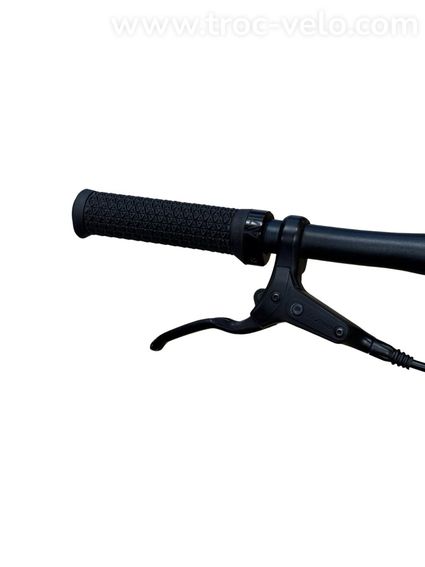 Tenways CGO600 Vélo électrique Single-Speed 2022 - 5