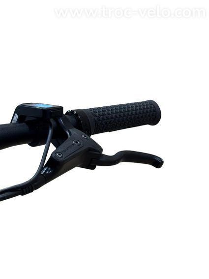 Tenways CGO600 Vélo électrique Single-Speed 2022 - 6