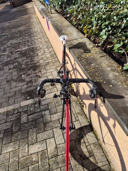 Fondriest Tfzero S - 6