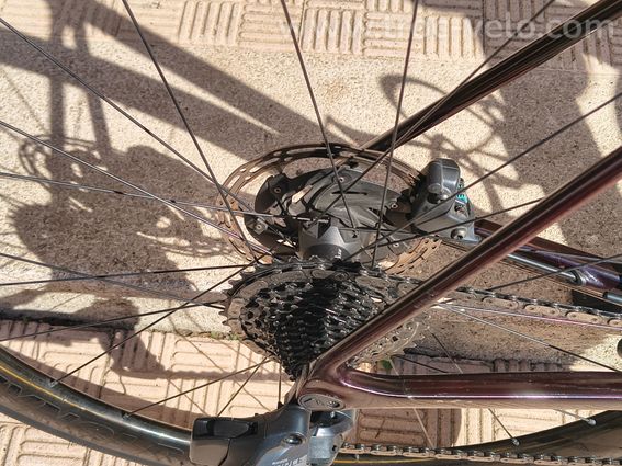 CANYON ENDURANCE SLX8 - 3