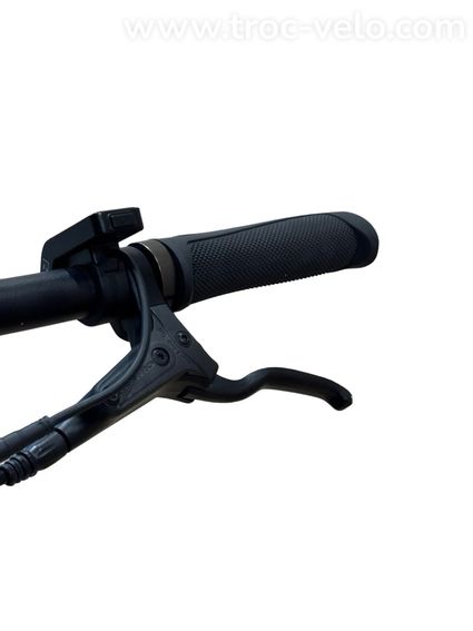 Tenways CGO600 Pro Vélo électrique Single-Speed 2024 - 6
