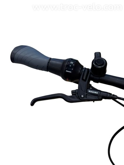 Pegasus Premio Evo 5 Belt Vélo électrique Shimano Nexus 2022 - 5