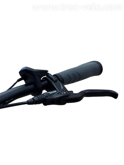 Pegasus Premio Evo 5 Belt Vélo électrique Shimano Nexus 2022 - 6