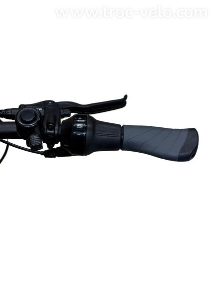 Pegasus Premio Evo 5 Belt Vélo électrique Shimano Nexus 2022 - 8
