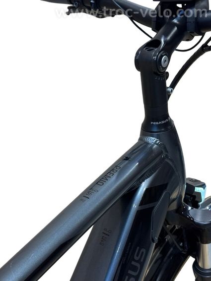 Pegasus Premio Evo 5 Belt Vélo électrique Shimano Nexus 2022 - 10