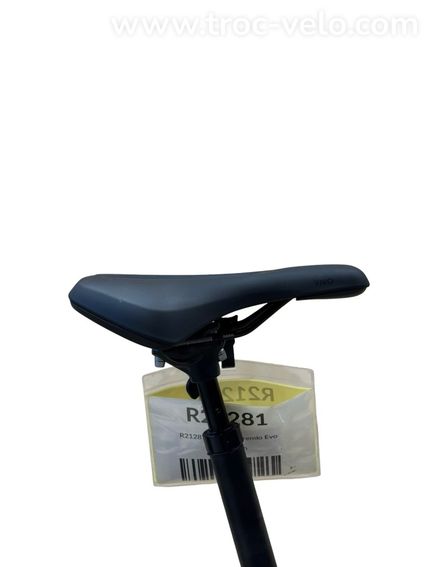 Pegasus Premio Evo 5 Belt Vélo électrique Shimano Nexus 2022 - 11