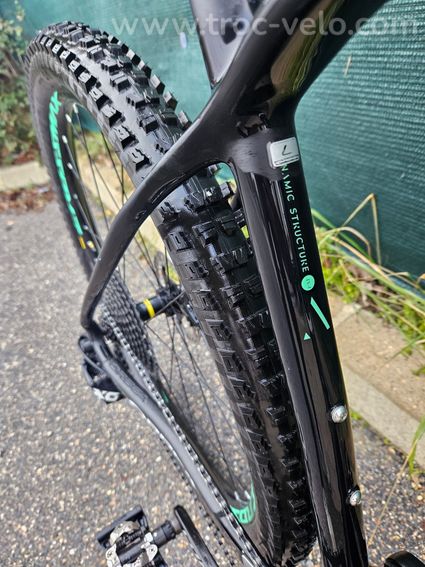 Orbea Alma M25 29 Carbone – Fox 32 Factory – Taille L - 13