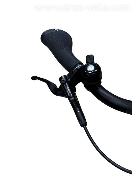Riese & Müller Nevo3 GT Automatic Vélo électrique Enviolo 2023 - 5